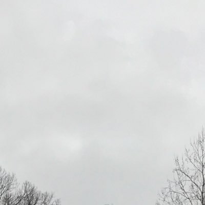 That_GuyIsWeird's profile picture. 