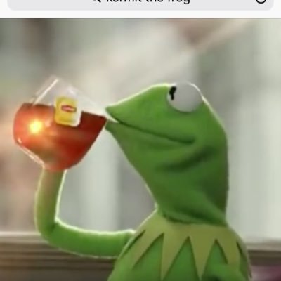 Kermit knows it and he’s not afraid to tell you what he thinks.