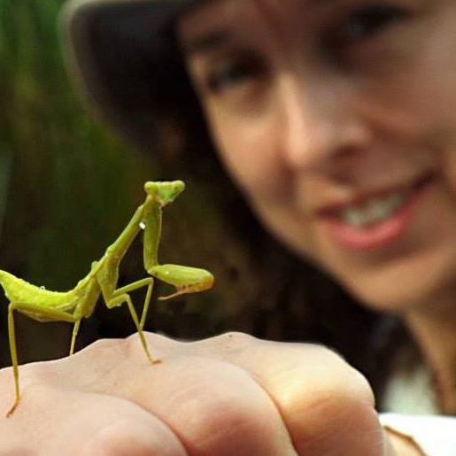 Senior Lecturer in Zoology @UWI_StAugustine. Guppies, behavioural ecology, biodiversity, invasions, natural history, art.