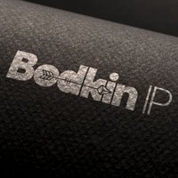 Andrea Davis, Bodkin IP (@bodkinip) 's Twitter Profile