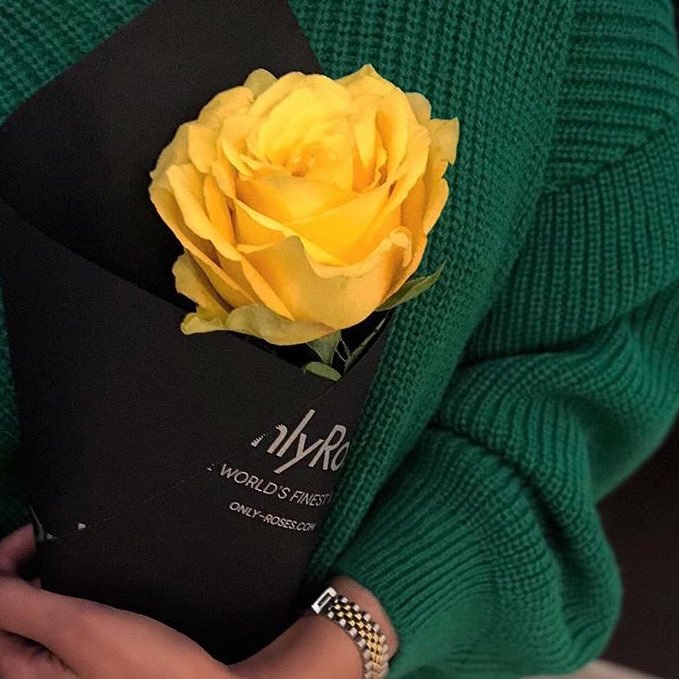 u8iiy's profile picture. بين قلبي ومكاتيبي وبالي.