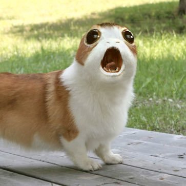 la_ginge's profile picture. 