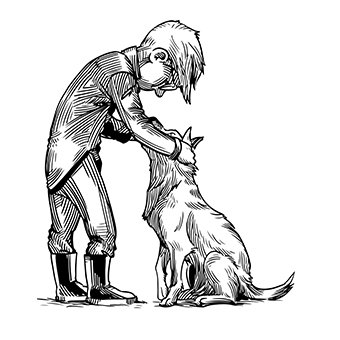 the dog is a novel about the timeless friendship between man and dog. 

➡  https://t.co/mpDdzeenRt