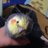 たかちゃんのTwitterプロフィール画像
