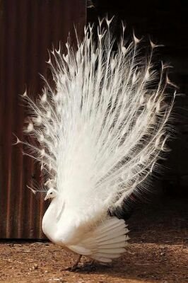 JalenciaG's profile picture. She is One of Kind, Equipped, Empowered and very Valuable!