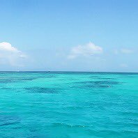 °･🐠(さかな) (@pecomackey) 's Twitter Profile