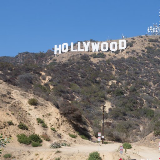 MDC1022's profile picture. 