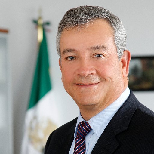 Lic. en Ciencias Políticas y Administración Pública y Maestro en Ciencia Política por la UAEMex.