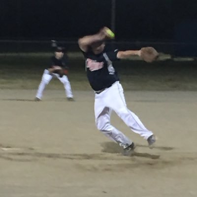 Micksburg Twins Fastball Profile