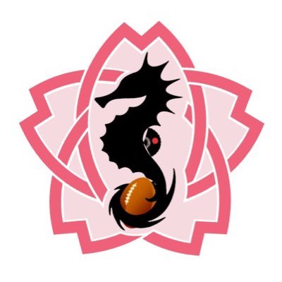 JapanDeafRugby Profile Picture