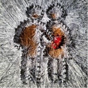 Stringerart's profile picture. 