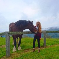 Hayley McNamara (@hayleya_mc) 's Twitter Profile