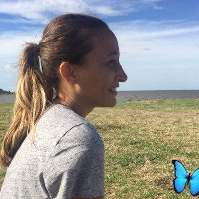 lulealfonso's profile picture. 