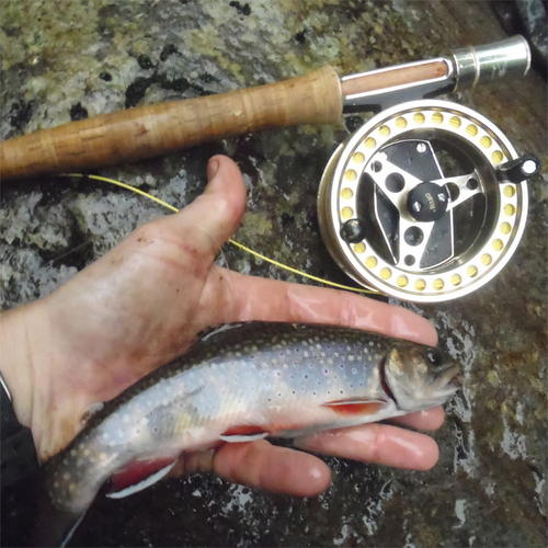 I am a father, husband, fly fisherman, adventure racer, mountain biker, hiker, triathlete and photographer