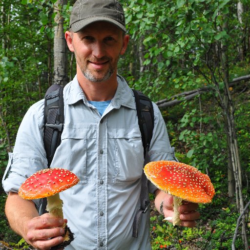 FungalDuJour's profile picture. Mycology | Forest Pathology | Fungi of the day
