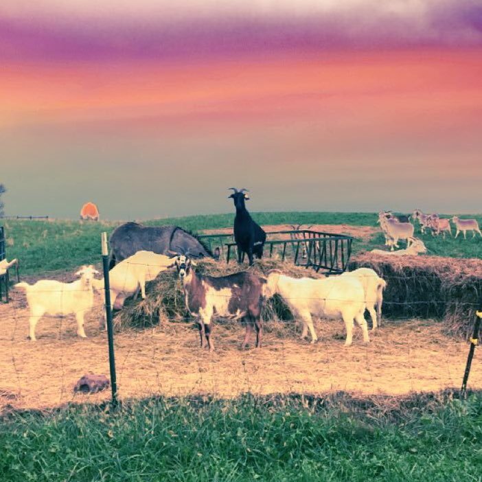 veerm33's profile picture. 🤙🏽 sc: veerm33