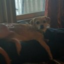 Pearl Burrows - @pburrows1973 - Twitter