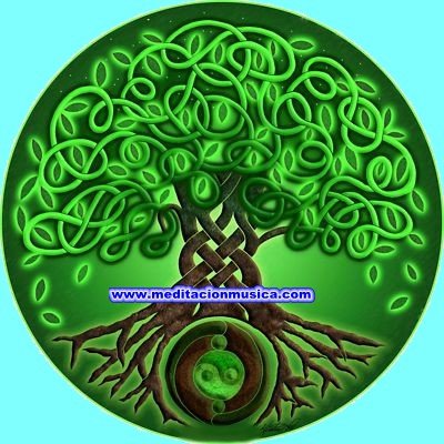 NuevoAmor333's profile picture. Ama con todo tu Ser, Siente con el Alma y No pares de sonreír. La Vida es un instante; El momento es Ahora.