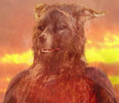 tottoo788's profile picture. 