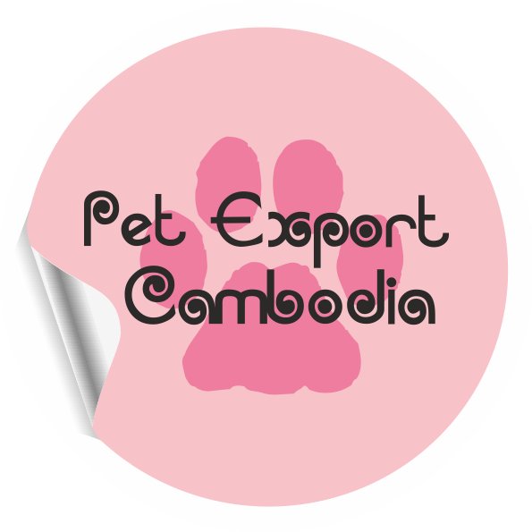 International Pet relocation in Phnom Penh. We handle pet export assistance globally as well as Import permits and customs clearances on your pets arrival.