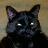 dmdixie131's profile image