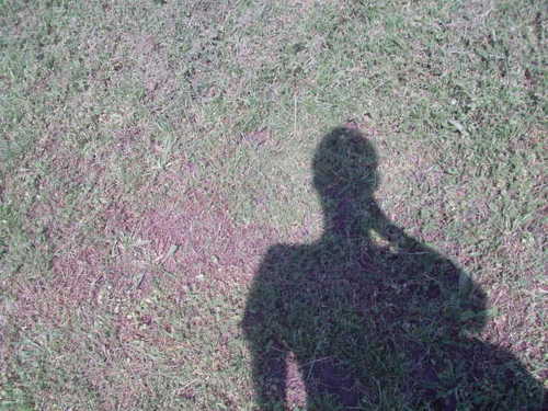 Ben_K93's profile picture. 