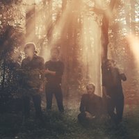 Highly Sedated (@hsedated) 's Twitter Profile