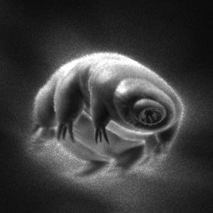 Technical Artist at Ankama,
one half of #supernanoblaster team
https://t.co/TugbozDts8…