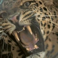 TOWOLOM JUNIOR VC (@cwpapua) 's Twitter Profile