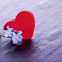 🌹🌸🌼Assi🌹🌸🌼 (@assi21293779) 's Twitter Profile
