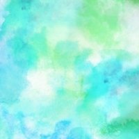 kitambird (@kitambird) 's Twitter Profile Photo kitambird (@kitambird) 's Twitter Profile Photo