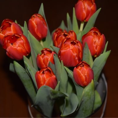 jintong's profile picture. 