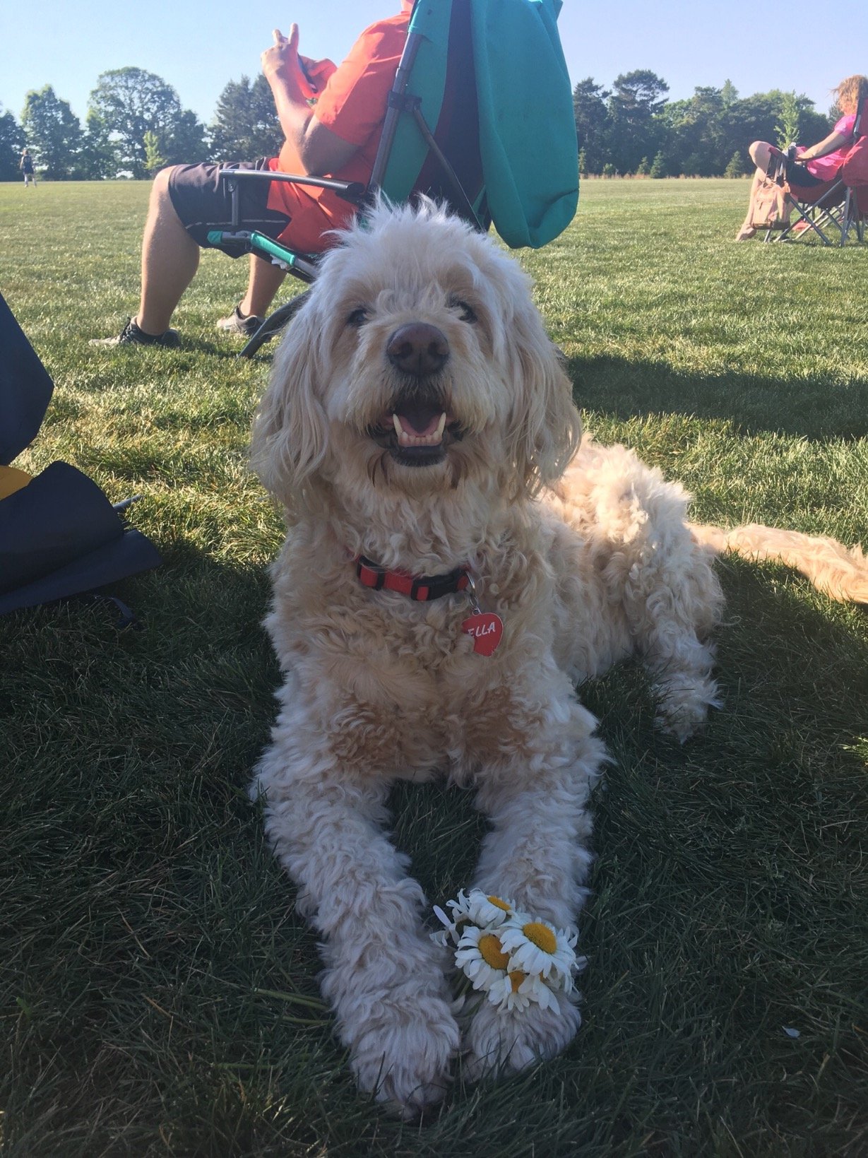 Meghandowning3's profile picture. I love animals and taking pictures