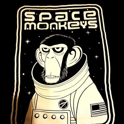 oceangirlsb's profile picture. IJ, Comic Book Men and TESD fanatic. 13%er for life. Just an 🐜 looking for a crumb. Bryan Johnson is my spirit animal.