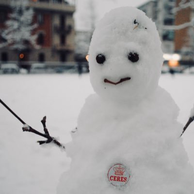 v_punto's profile picture. 