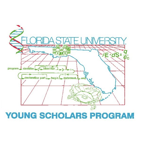 YSP is a six-week residential STEM summer program for exceptional Florida high school students.