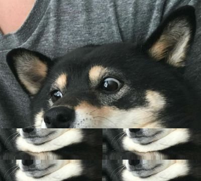 anselnsfw's profile picture. 18+ only
I just retweet stuff I like.