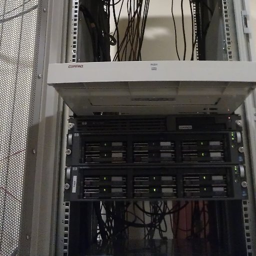 netoides's profile picture. 