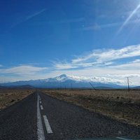 hsynn (@hsynn90) Twitter profile photo