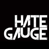Hate Gauge (@hategauge) 's Twitter Profile