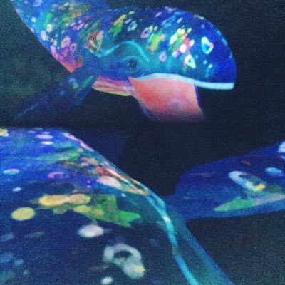 おむら けいさんのプロフィール画像