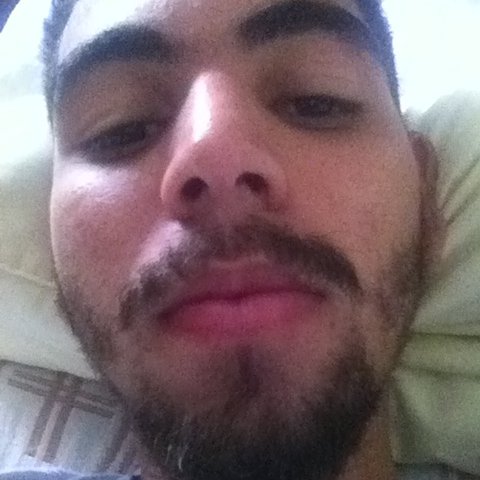 moccitty's profile picture. 