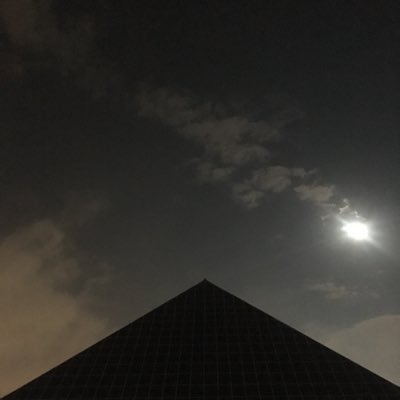 cotudoCon's profile picture. 