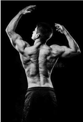 ShahrunKhan13's profile picture. Alwar city ,rajasthan (india)