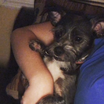 Gossett22's profile picture. 