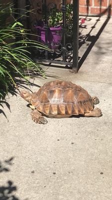 ethomas0822's profile picture. 