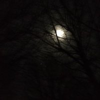 Rose Ann Fennessy (@rosefennessy) 's Twitter Profile Photo Rose Ann Fennessy (@rosefennessy) 's Twitter Profile Photo