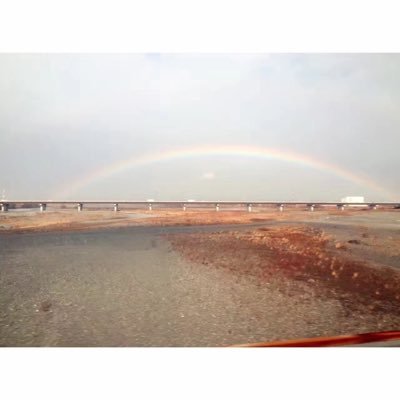 SDaiyao's profile picture. 叮叮叮！起床聊天啦