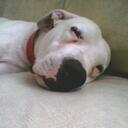 esteban lujan - @tebicachetes - Twitter