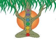 a holistic lifestyle sanctuary, serving Astoria's yogis, like-minded souls and creative people in a warm social community